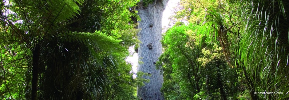 Palm House Bed and Breakfast at Kaipara Harbour